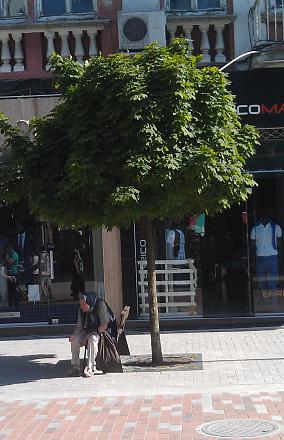 Нажмите на изображение для увеличения
Название: Пожилая попрошайка в Варне.jpg
Просмотры: 570
Размер: 103.9 Кб
ID: 19105