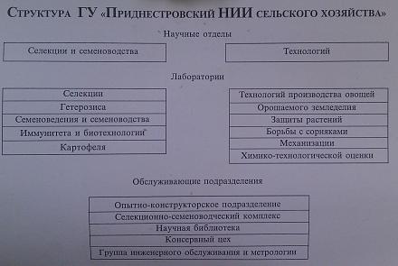 Нажмите на изображение для увеличения
Название: Структура ГУ Приднестровский НИИ сельского хозяйства.jpg
Просмотры: 824
Размер: 74.8 Кб
ID: 19231