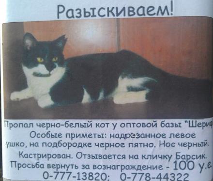     
:    .jpg
: 725
:	78.2 
ID:	19301