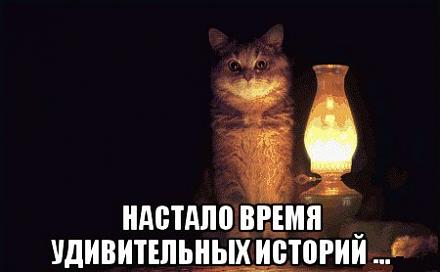     
: yl6c8DYu4zc.jpg
: 552
:	23.3 
ID:	19439