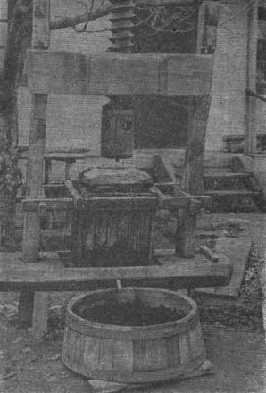 Нажмите на изображение для увеличения
Название: Одновинтовой винодельческий пресс.JPG
Просмотры: 1642
Размер: 52.6 Кб
ID: 19812