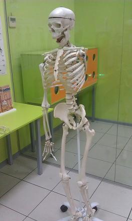     
:   .jpg
: 592
:	50.3 
ID:	20793