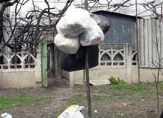 Название: Пакеты на винограднике - Кишинев.jpg
Просмотры: 1009
Размер: 38.8 Кб