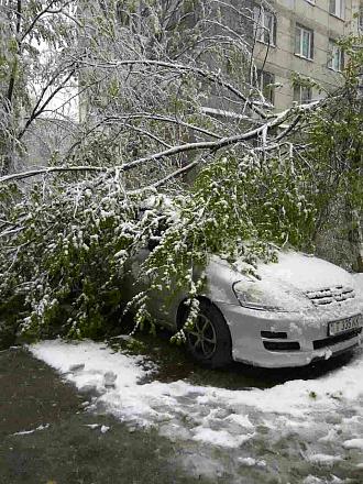 Нажмите на изображение для увеличения
Название: Ветка на дереве авто.jpg
Просмотры: 539
Размер: 165.0 Кб
ID: 21538
