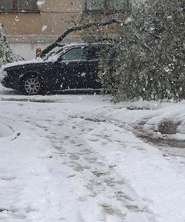 Нажмите на изображение для увеличения
Название: Машина под снежной веткой.jpg
Просмотры: 549
Размер: 149.1 Кб
ID: 21539