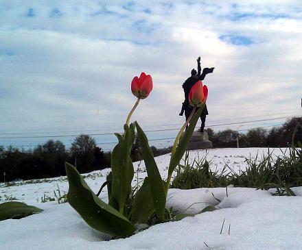Нажмите на изображение для увеличения
Название: Суворов, снег и тюльпаны.jpg
Просмотры: 479
Размер: 92.6 Кб
ID: 21560