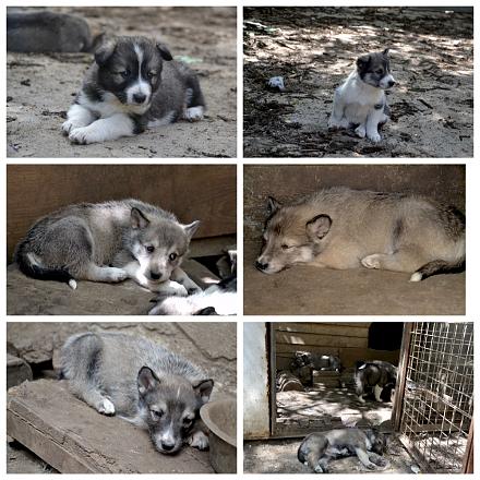     
: MyCollages (2).jpg
: 1248
:	91.9 
ID:	21802