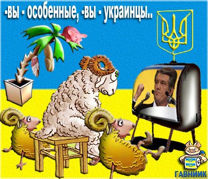: ukraina.jpg
: 737

: 61.1 