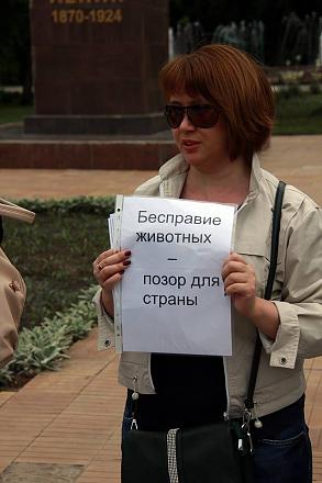     
: ....jpg
: 442
:	61.1 
ID:	22381
