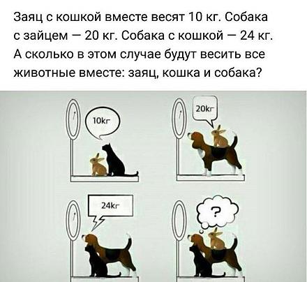     
: .jpg
: 457
:	53.5 
ID:	22742