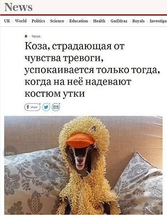     
:  .jpg
: 705
:	72.7 
ID:	22774