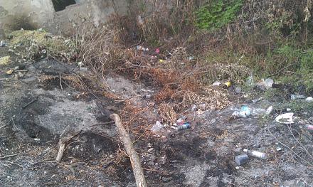 Нажмите на изображение для увеличения
Название: Парк Родина 23 июля 2017.jpg
Просмотры: 1471
Размер: 152.2 Кб
ID: 22797