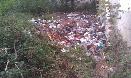 Нажмите на изображение для увеличения
Название: Парк Родина 23 июля 2017 - мусор.jpg
Просмотры: 1351
Размер: 95.7 Кб
ID: 22798