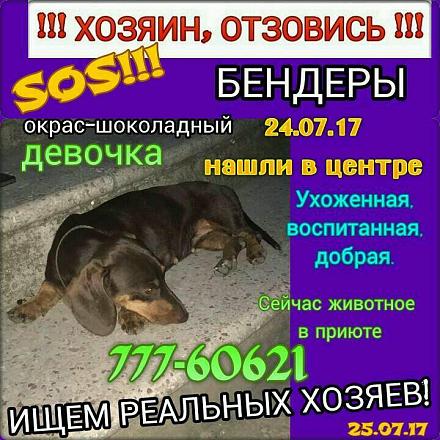     
:  .jpg
: 673
:	92.0 
ID:	22879