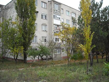    
: DSCN0654.jpg
: 660
:	134.7 
ID:	2288