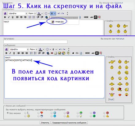     
: 5.jpg
: 635
:	80.7 
ID:	22976