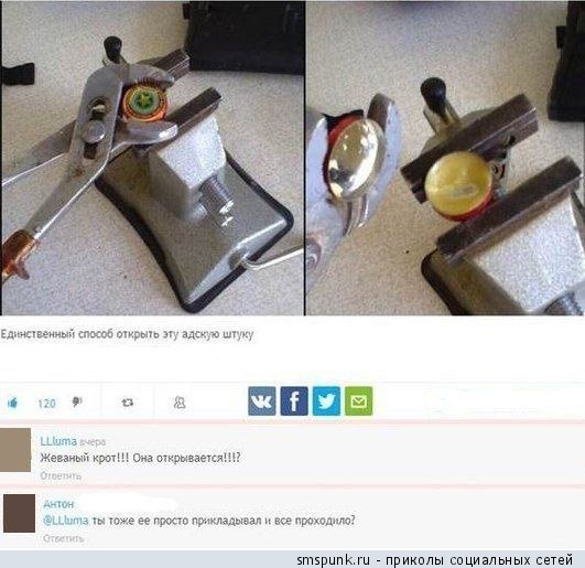 :  .jpg
: 628

: 54.7 