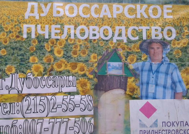 :  .jpg
: 1157

: 138.1 