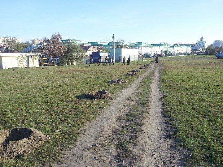 :     2017.jpg
: 2515

: 111.7 