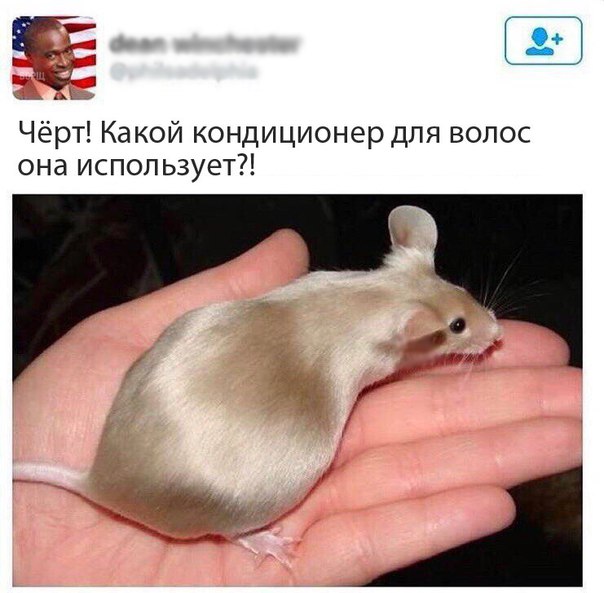 : .jpg
: 1839

: 60.0 