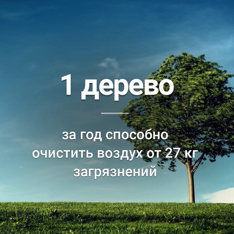 : rGinOp_yAzA.jpg
: 862

: 190.0 