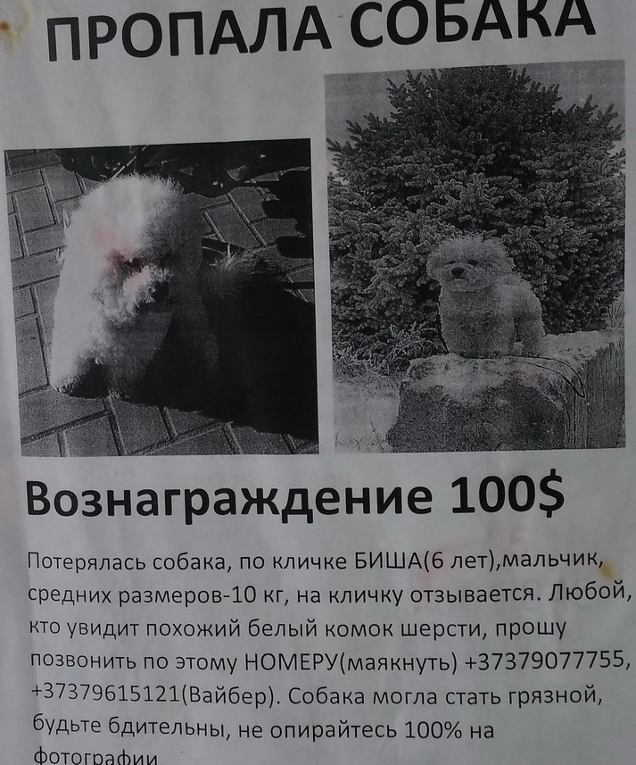 :   - 100$.jpg
: 1433

: 204.6 