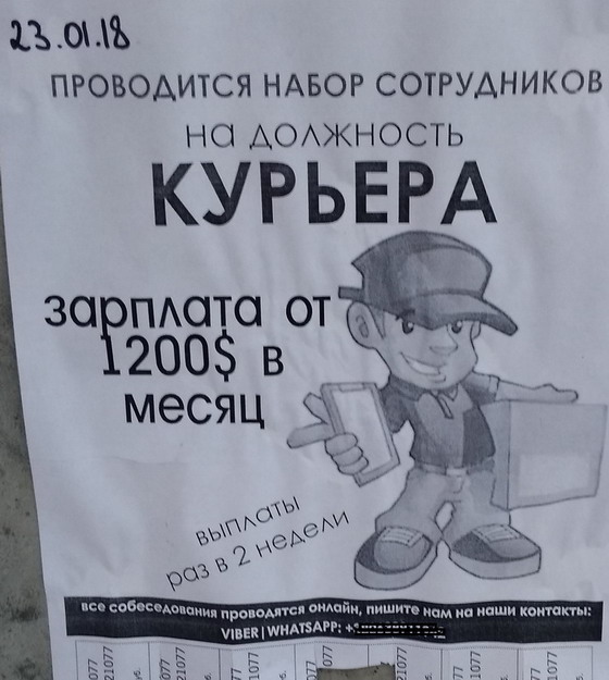 :    .jpg
: 1082

: 89.5 
