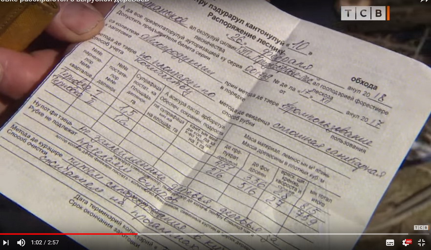 Название: Лес в Терновке.jpg
Просмотры: 3179
Размер: 133.1 Кб