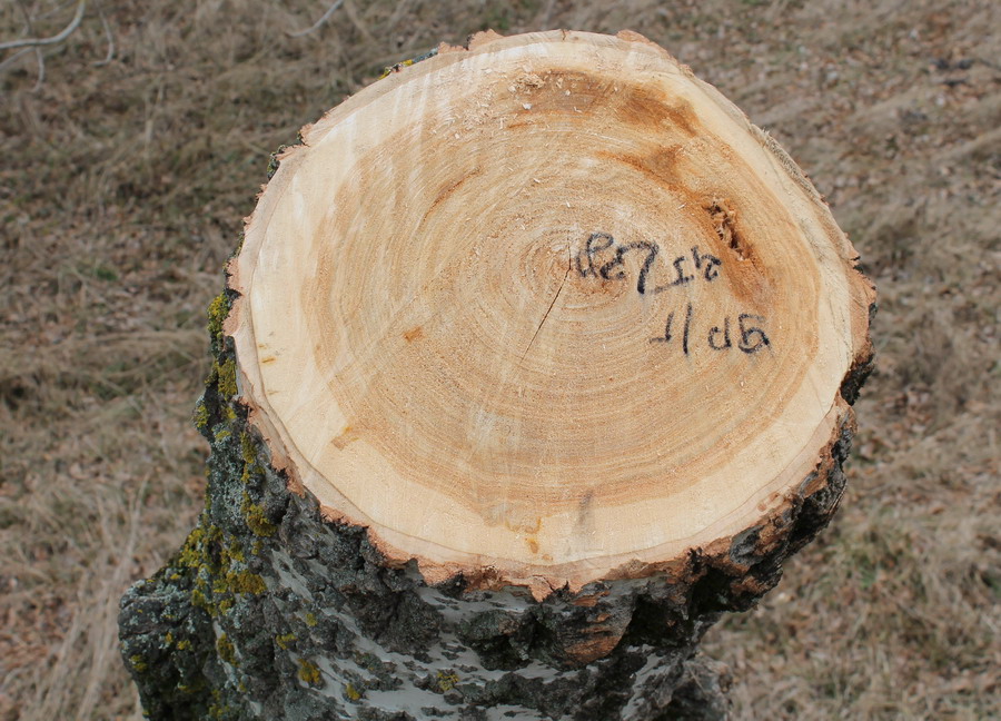 : 4 -  .JPG
: 881

: 217.0 