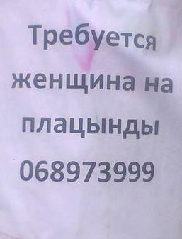 :  .jpg
: 721

: 20.6 