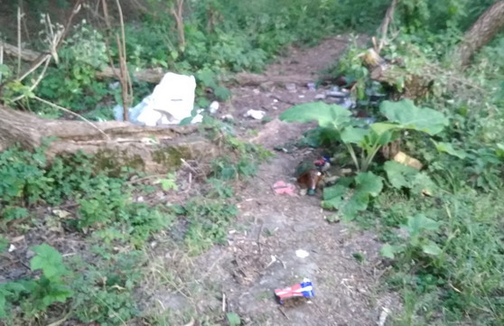 Название: мусор на реке.jpg
Просмотры: 743
Размер: 87.8 Кб