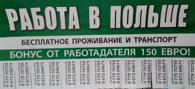 :   .jpg
: 2431

: 84.3 