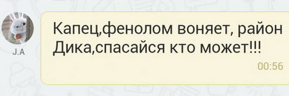 :    - .jpg
: 588

: 15.7 