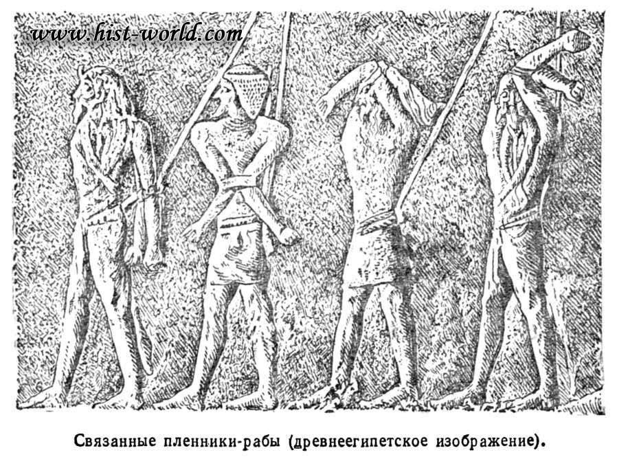 : svyazannye-plenniki-ryby-egipet.jpg
: 804

: 144.5 