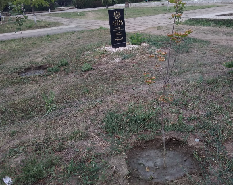 :   -  2018.jpg
: 946

: 247.5 