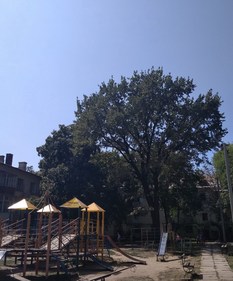: dub_20180824.jpg
: 479

: 228.2 