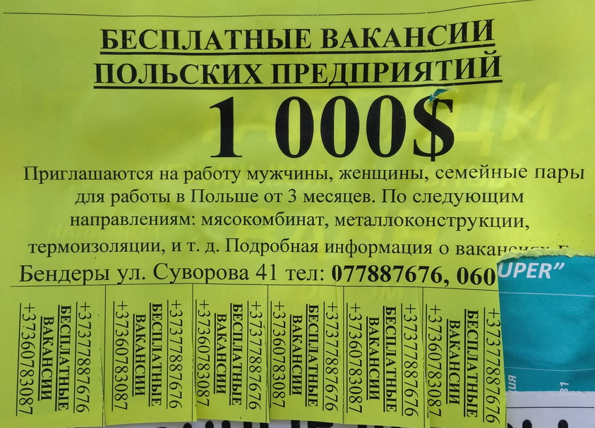 : 1000    .jpg
: 2470

: 195.1 