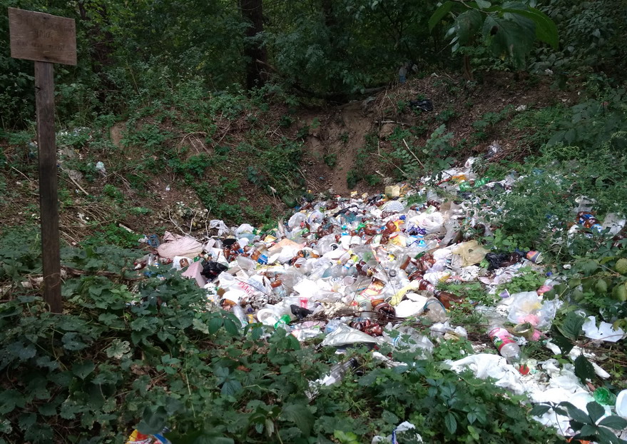 Название: Компостная яма с мусором.jpg
Просмотры: 1803
Размер: 269.1 Кб