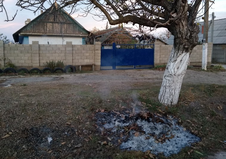 Название: Карагаш Ленина 177.jpg
Просмотры: 2731
Размер: 180.8 Кб