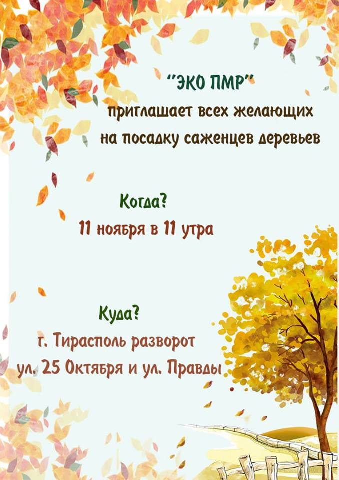 : 11.11  11.jpg
: 3169

: 75.1 