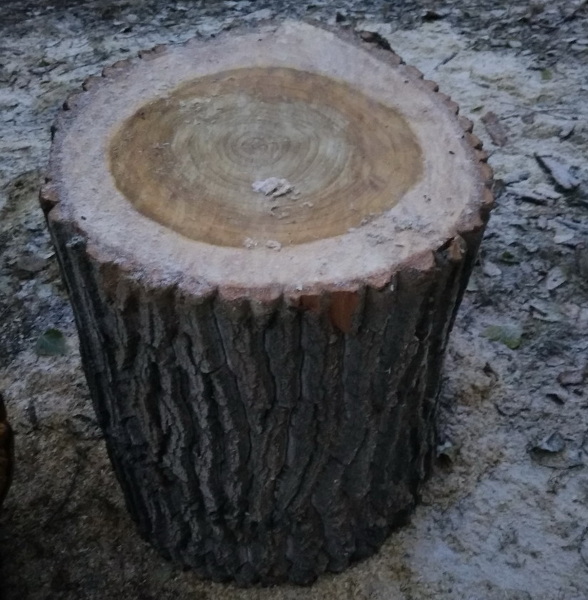 : 4  .jpg
: 467

: 178.4 