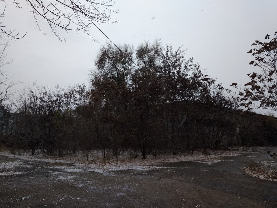 Название: Заросли на Заводе Ткаченко.jpg
Просмотры: 1256
Размер: 222.3 Кб