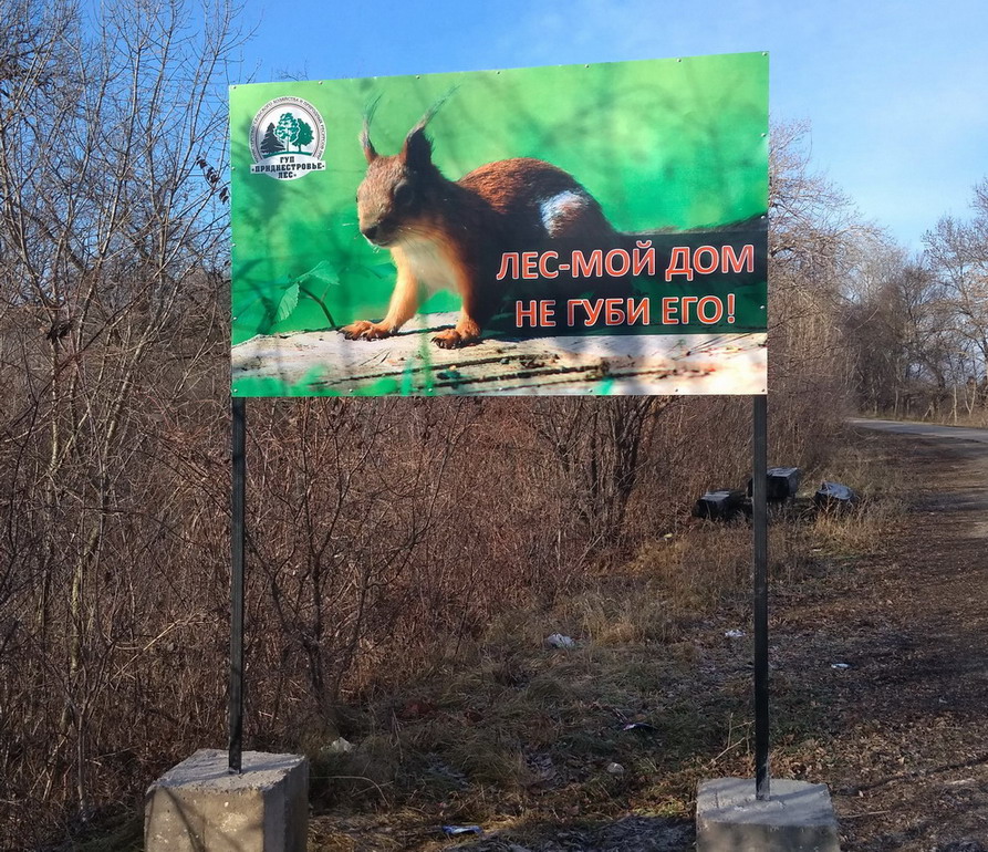 :   - .jpg
: 1438

: 316.2 