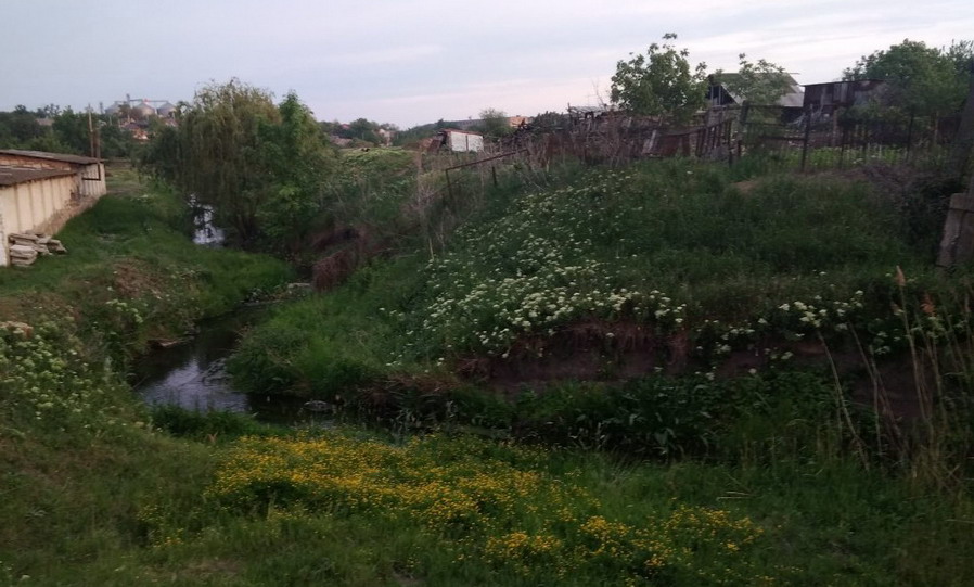 Название: Суклея - ул. Дмитрова - Светлый.jpg
Просмотры: 3349
Размер: 135.1 Кб