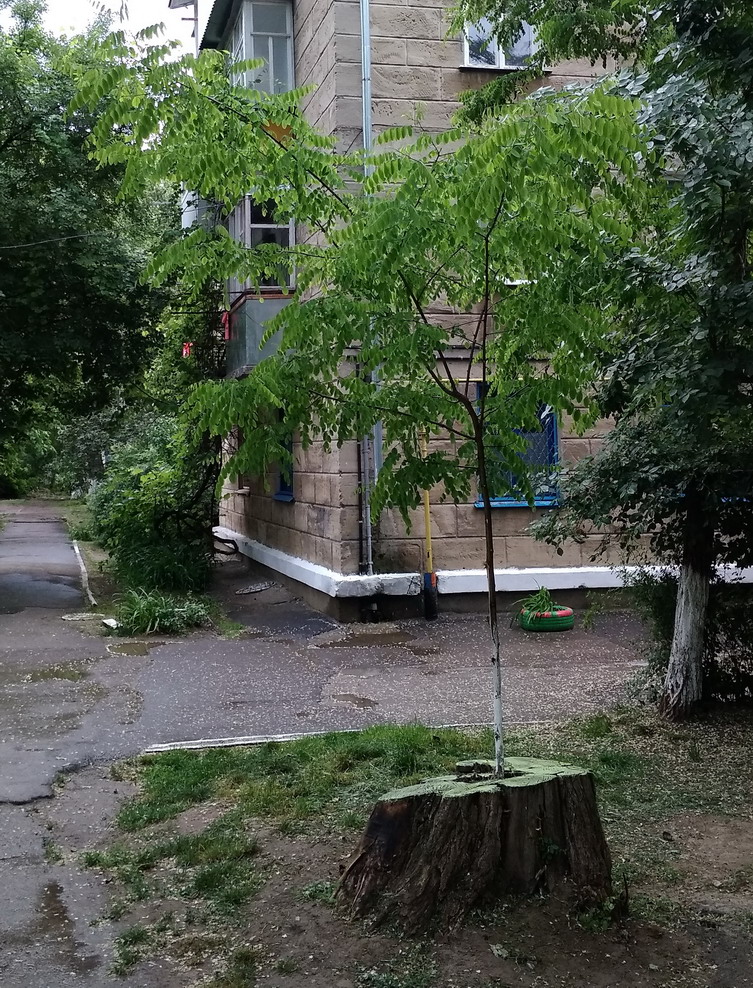 :   .jpg
: 2212

: 386.2 
