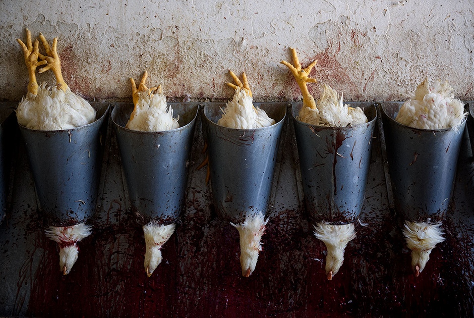 Название: SMHX6AQZpaI.jpg
Просмотры: 2694
Размер: 321.4 Кб