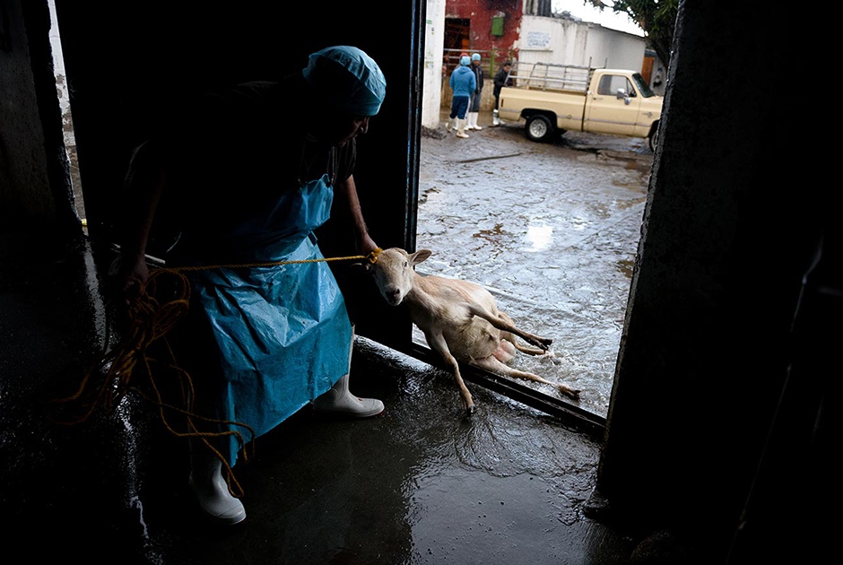 Название: F3jWHJGPBPA.jpg
Просмотры: 2219
Размер: 188.4 Кб