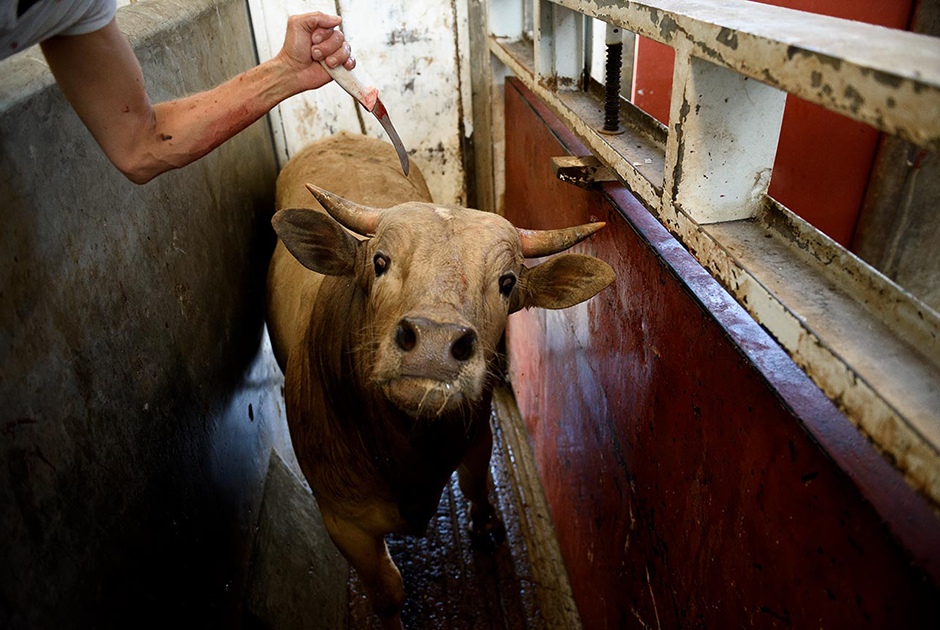 Название: Ik49lPagZIs.jpg
Просмотры: 2477
Размер: 238.3 Кб