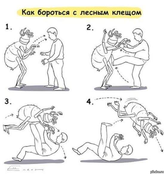 : FB_IMG_1557759446490.jpg
: 584

: 33.9 