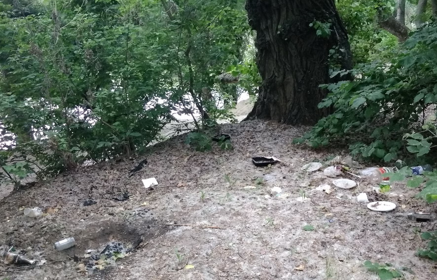 Название: 2019-06-27-Мусор у парома.jpg
Просмотры: 913
Размер: 249.6 Кб